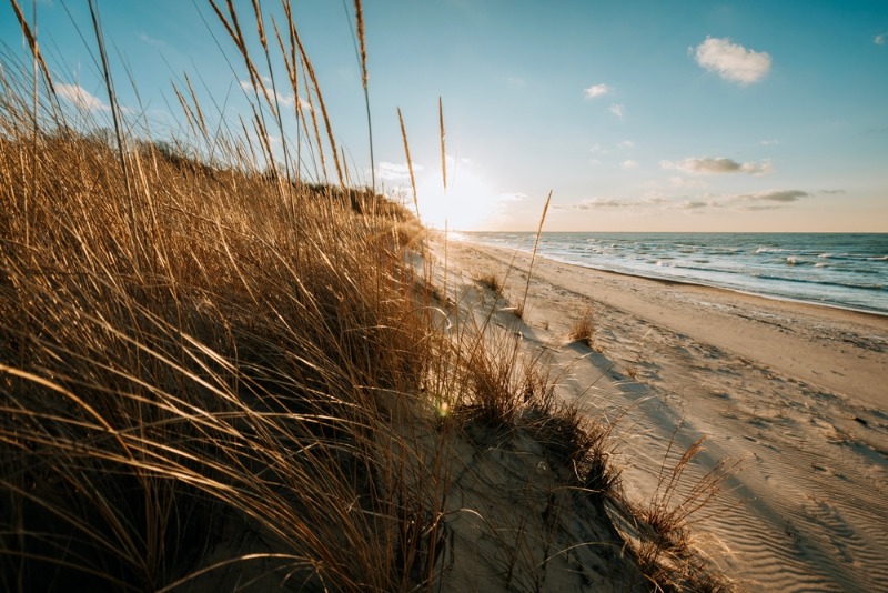 Best Beaches in Michigan: A beautiful beach view from atop the tuft of a sand dune at Indiana Dunes National Park in Porter, IN.